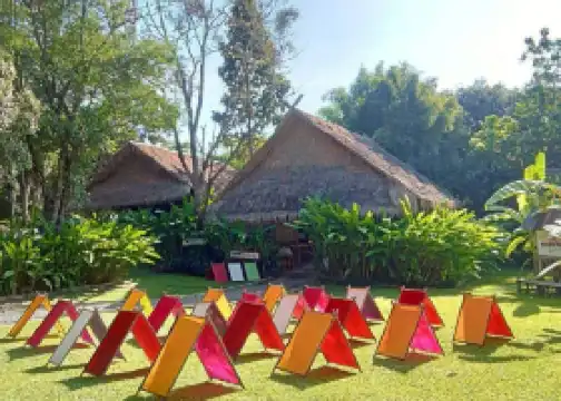 Elephant POOPOOPAPER Park Chiang Mai