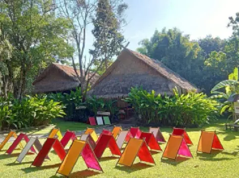 Elephant POOPOOPAPER Park Chiang Mai