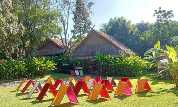 치앙마 이엘리펀트 푸푸페이퍼 파크