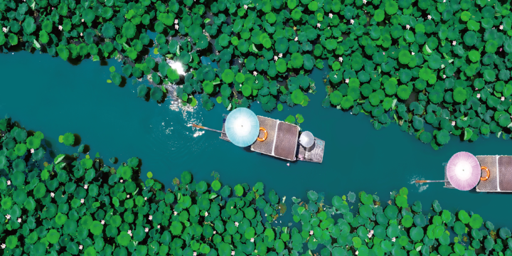 Xixi National Wetland Park