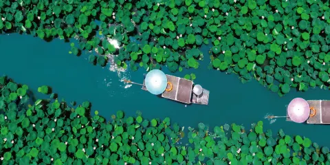西溪國家濕地公園門票成人