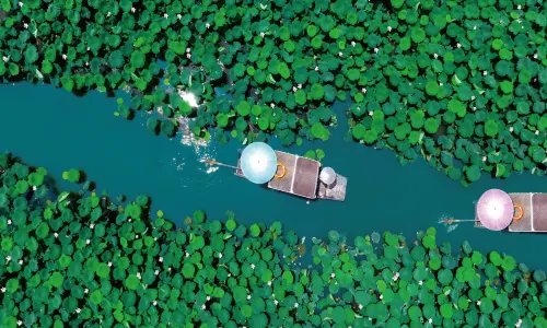 Xixi National Wetland Park