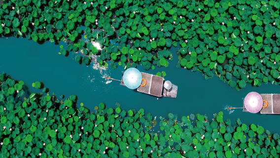 Xixi National Wetland Park
