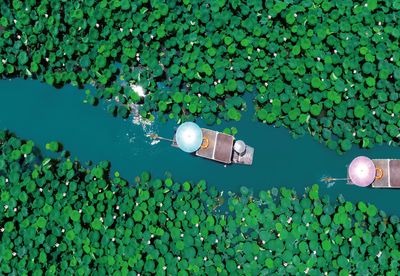 Xixi National Wetland Park