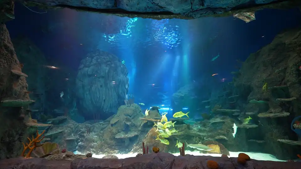 5_Chongqing Haichang Ocean Park