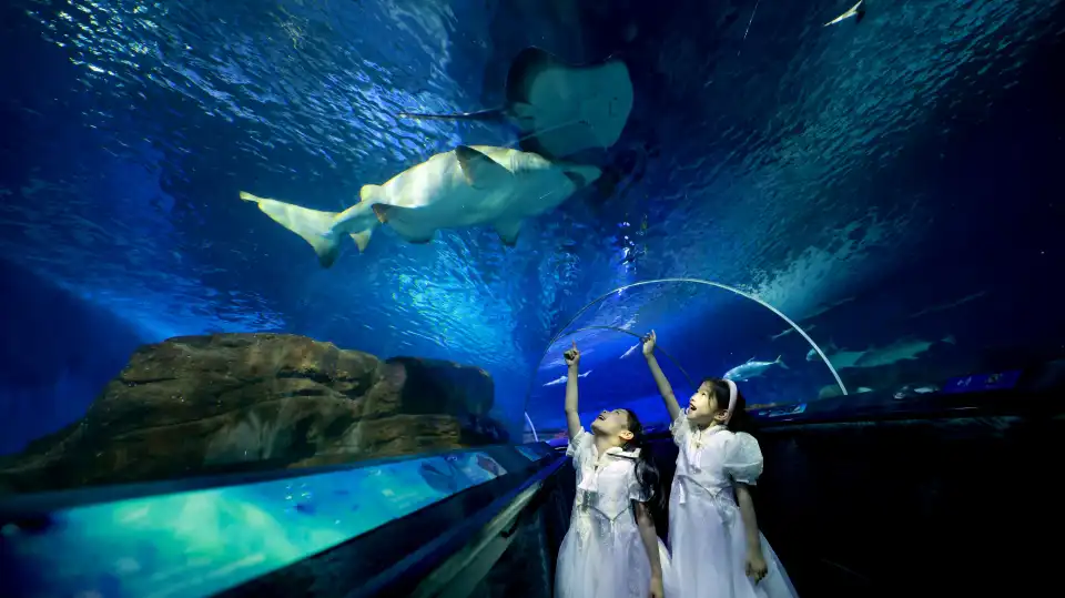 5_Shanghai Ocean Aquarium