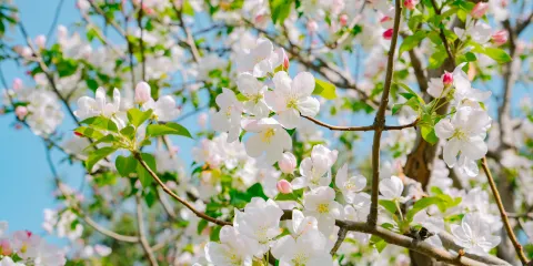 唐山南湖開灤旅遊景區