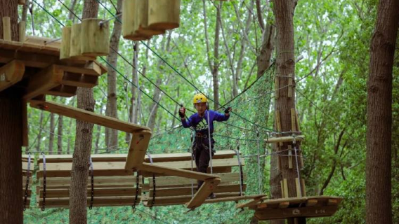 Tree Jumping Forest Adventure Park