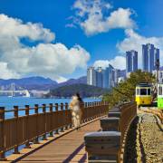 Природа / дикая природа