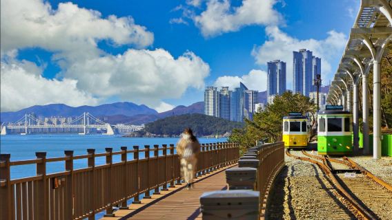 海雲台藍線公園+釜山松島海上纜車+甘川文化村一日遊