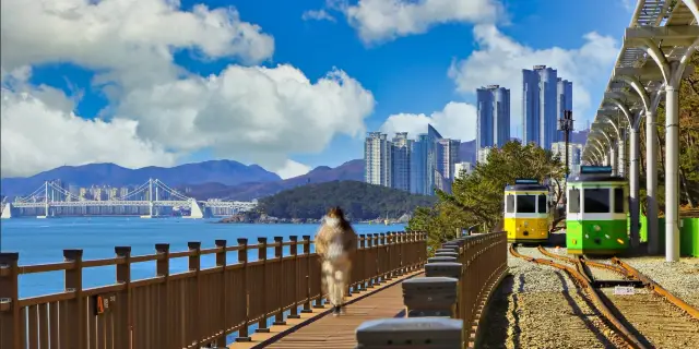 South Korea Independent Travel Guide (2025): Top Things to