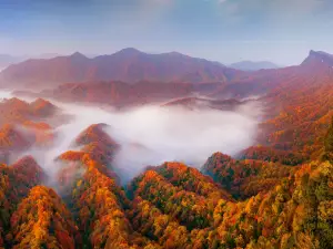 Micang Mountain National Forest Park