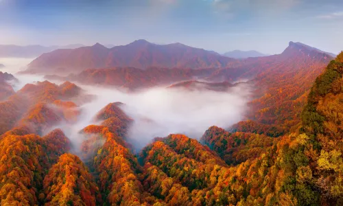 Micang Mountain National Forest Park