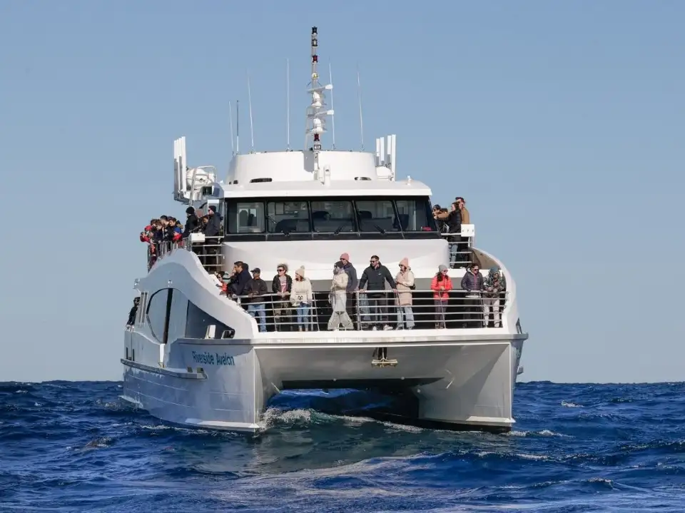 Sydney Whale Watching Cruise