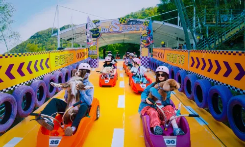 Jiangnan Yaowu International Resort