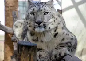 西寧野生動物園