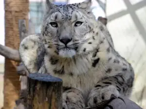 Xining Wildlife Park