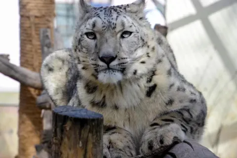 Xining Wildlife Park