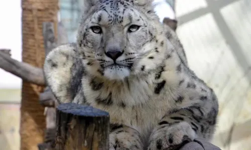 Xining Wildlife Park