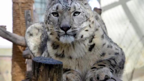 Xining Wildlife Park