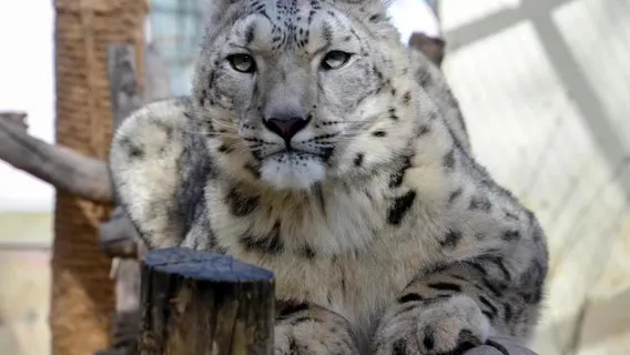 Xining Wildlife Park