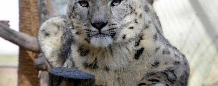Xining Wildlife Park