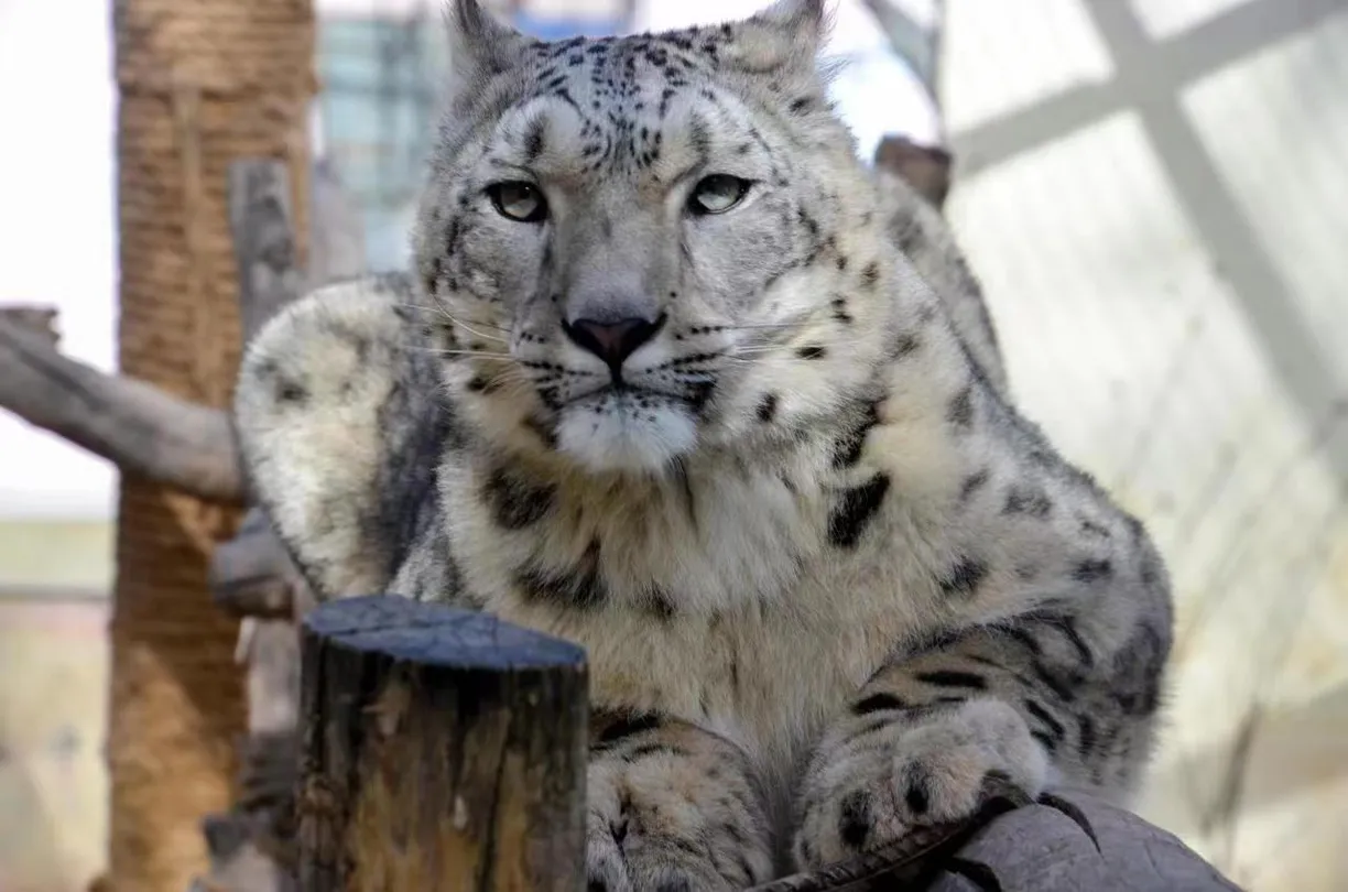 1_西寧野生動物園