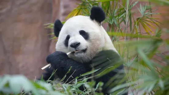 樂和樂都動物主題樂園