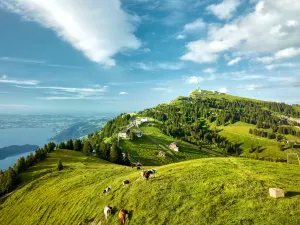 Rigi