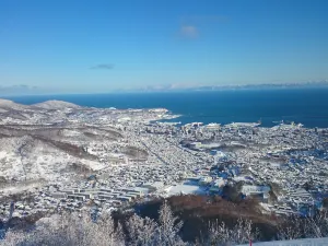 Otaru Tenguyama
