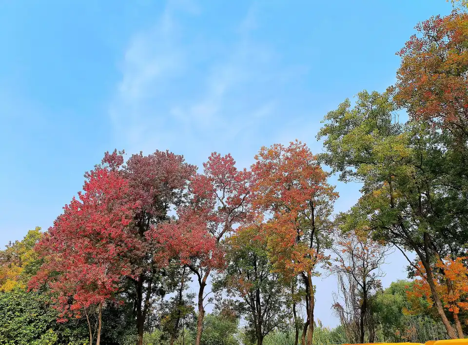 5_Zhengzhou Yellow River Cultural Park