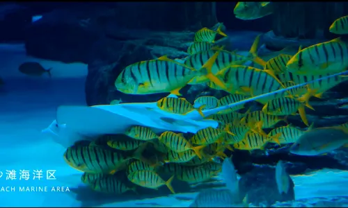 란저우 오션 월드