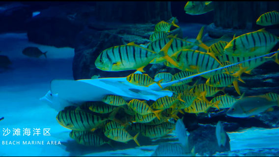 Lanzhou Polar Ocean World