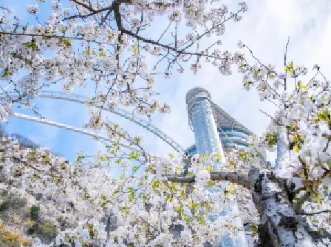 จุดชมวิวภูเขาตันซี