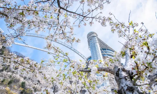 จุดชมวิวภูเขาตันซี