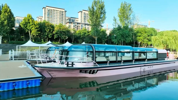 ye you shuang qing wan