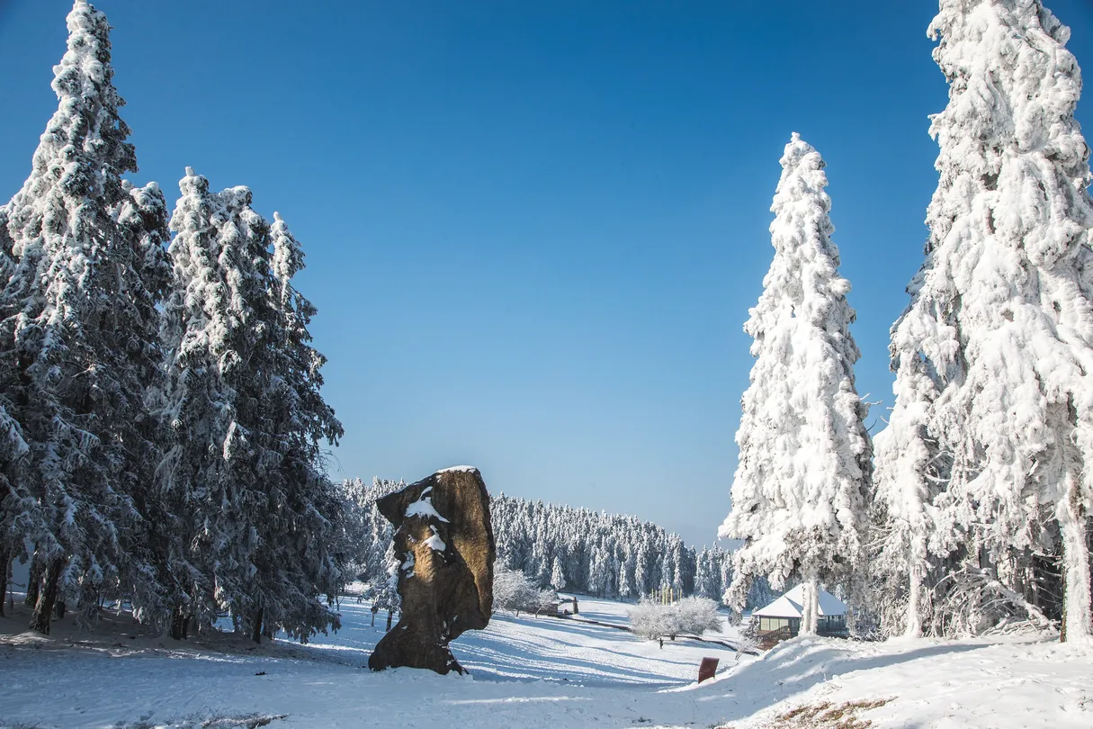 2_仙女山國家森林公園