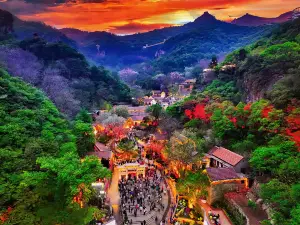 山東文旅·紅葉柿巖旅遊區