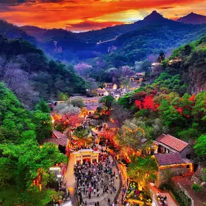 山東文旅·紅葉柿巖旅遊區