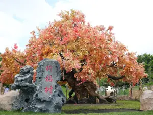 天定山旅遊度假小鎮
