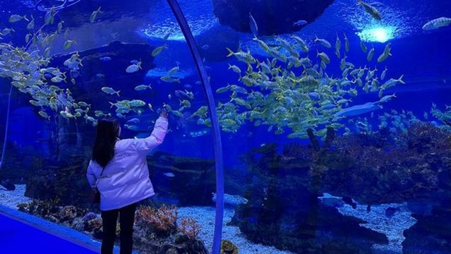 Jinhua Wantaihai Lifang Haiyang Park