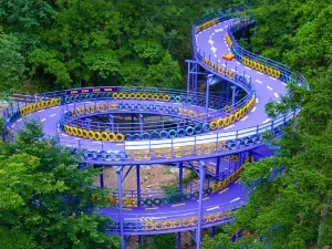 천자지 산약테마공원