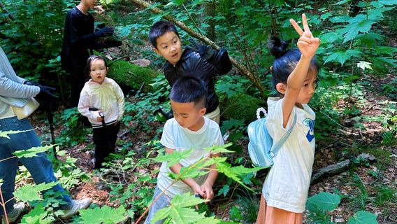 Changbai Mountain Campsites in the mountains
