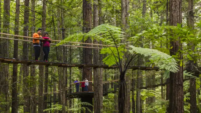 Hotels near Redwoods - Whakarewarewa Forest