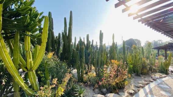 Fujian Private Guided Half-Day Tour Xiamen Garden and Botanical Garden