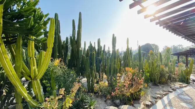 Xiamen Botanical Garden