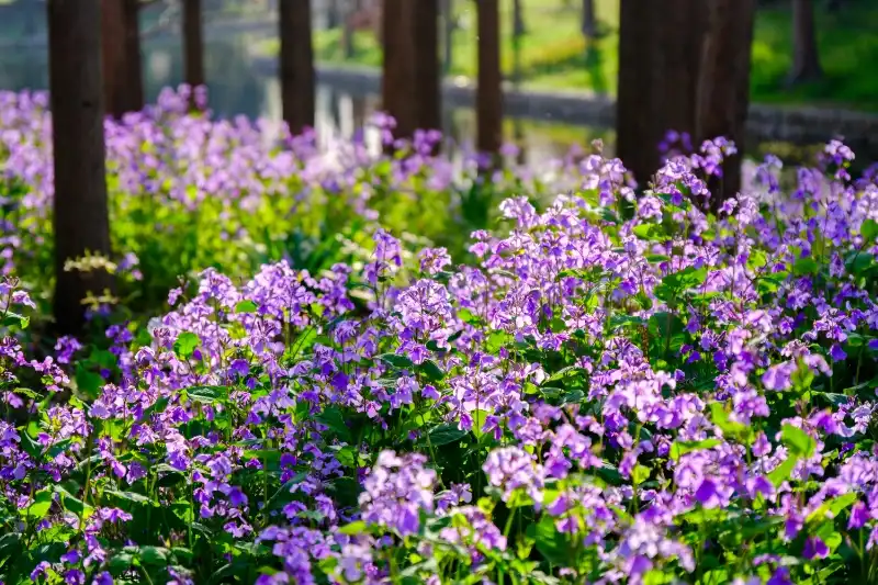 상하이빈장(상해빈강) 수목원 주변 호텔