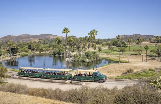 聖地亞哥野生動物園單日門票成人
