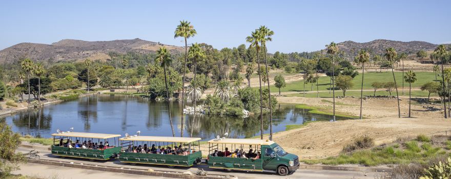 San Diego Zoo Safari Park
