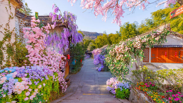 Tianmu Lake Nanshan Bamboo Sea Scenic Spot